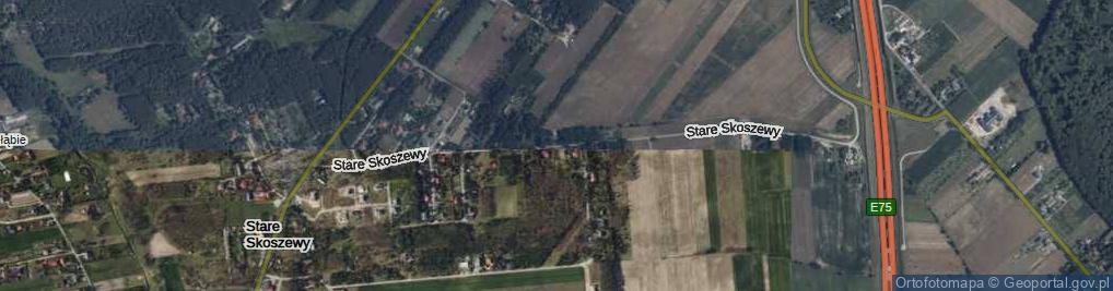 Zdjęcie satelitarne Stare Skoszewy ul.